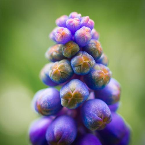 2013-05-06 (126)