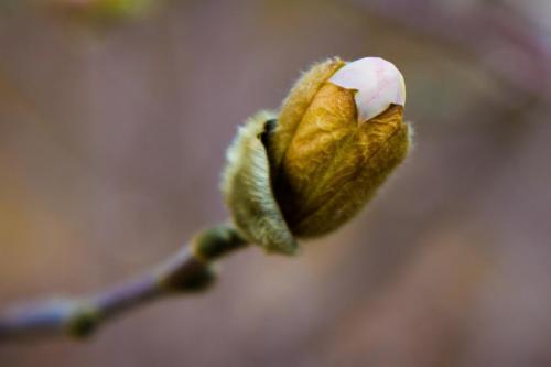 20140507143019-199f536e